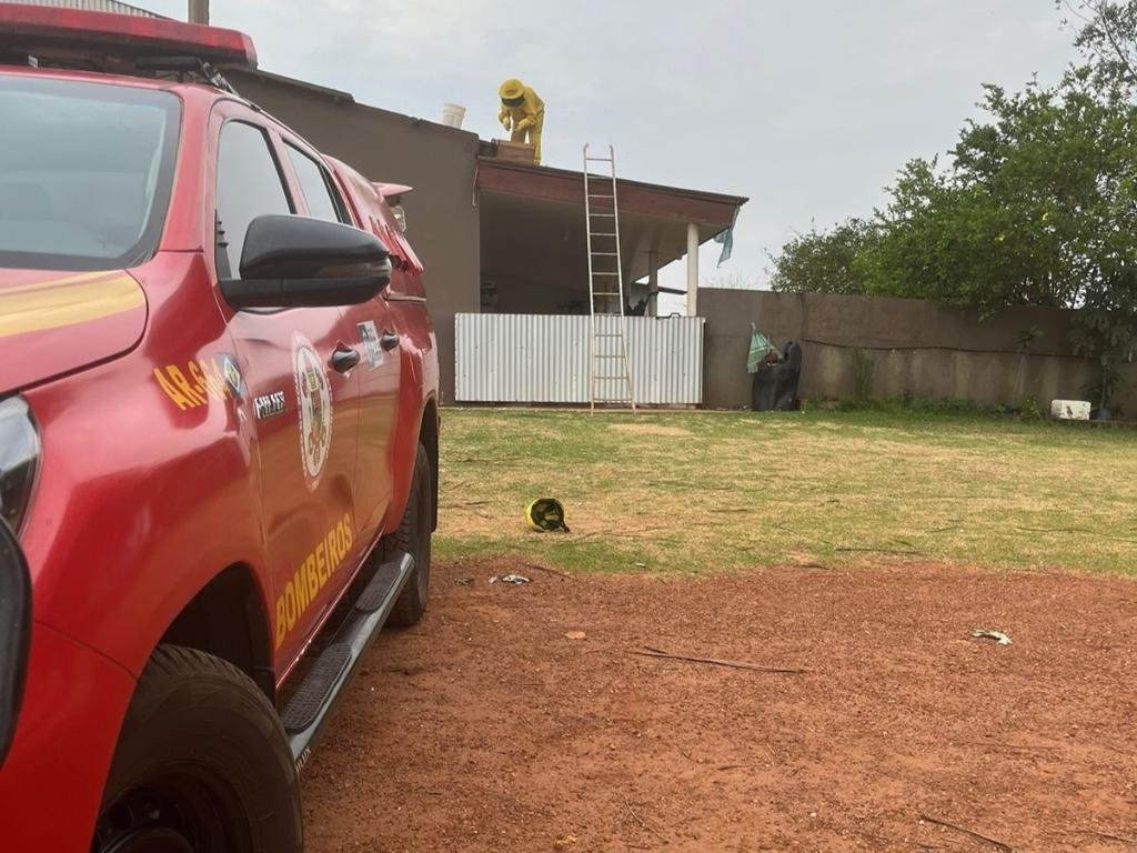 Enxame de abelhas invade casa e mobiliza bombeiros