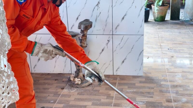 Jiboia é encontrada em residência e mobiliza bombeiros em Guarantã do Norte