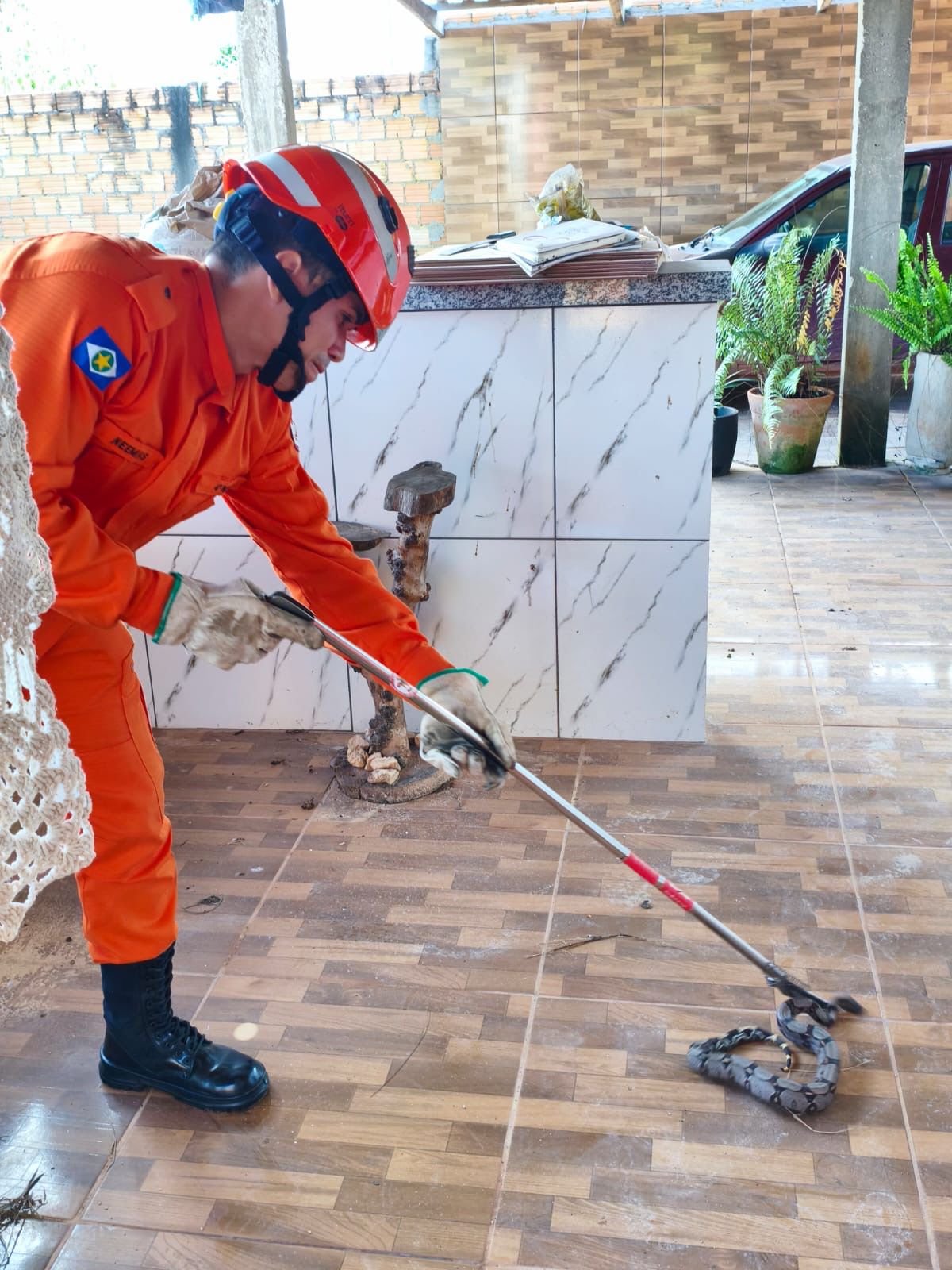 Jiboia é encontrada em residência e mobiliza bombeiros em Guarantã do Norte