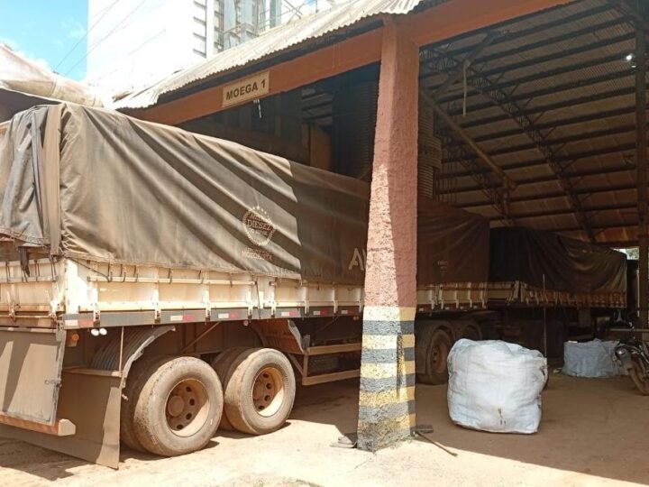 Tentativa de golpe com carga de soja termina com prisão de jovem de 20 anos