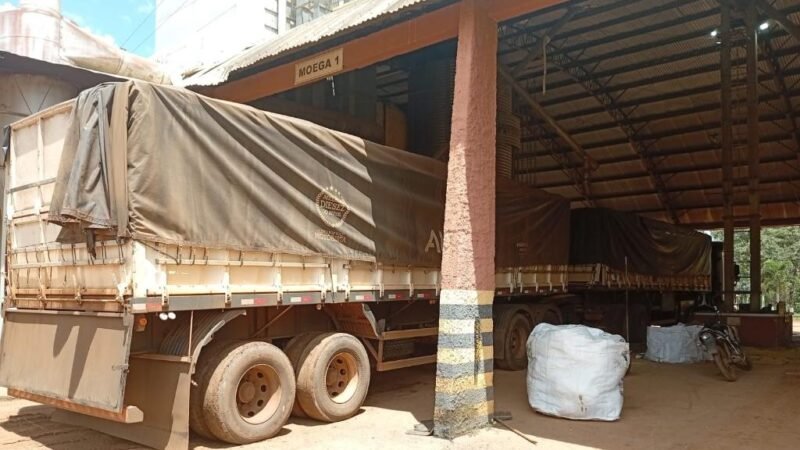 Tentativa de golpe com carga de soja termina com prisão de jovem de 20 anos