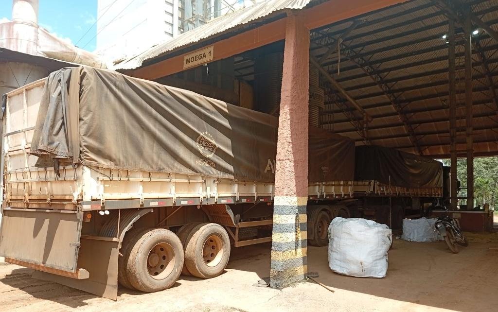 Tentativa de golpe com carga de soja termina com prisão de jovem de 20 anos