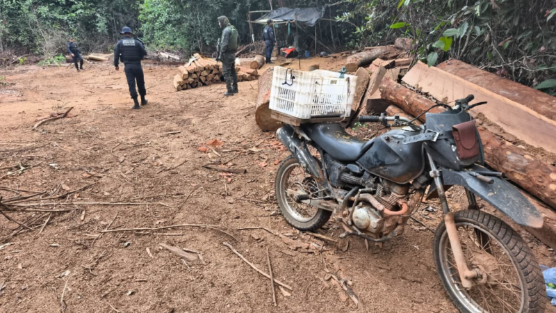 Polícia Ambiental flagra devastação de mais de 300 hectares e aplica mais de R$ 1,5 milhão em multas