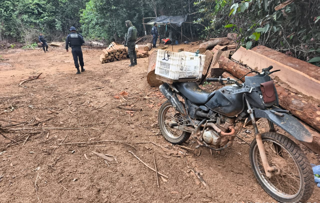 Polícia Ambiental flagra devastação de mais de 300 hectares e aplica mais de R$ 1,5 milhão em multas