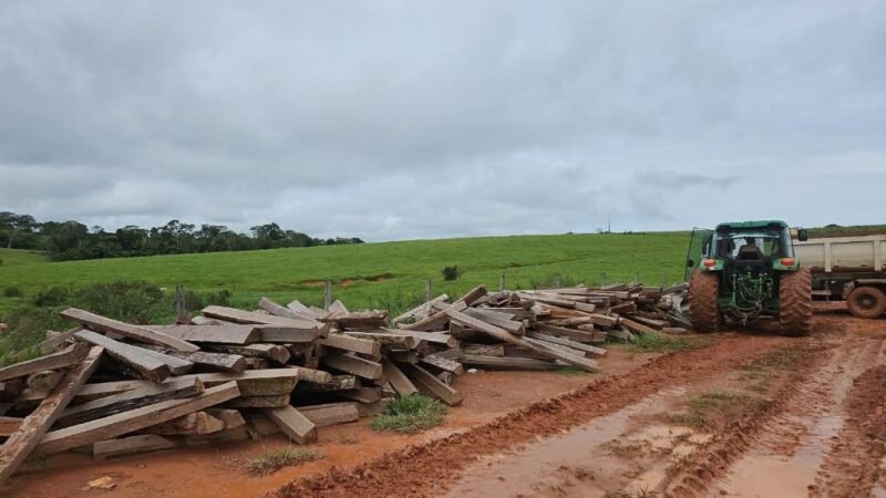 Madeira ilegal é apreendida no norte de MT e proprietário é multado em R$ 12 mil
