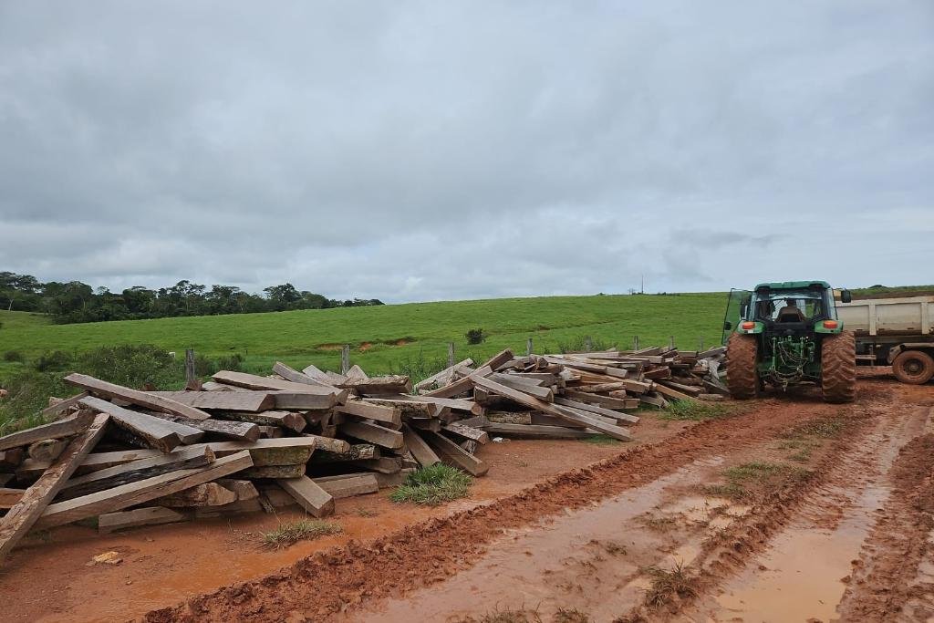 Madeira ilegal é apreendida no norte de MT e proprietário é multado em R$ 12 mil