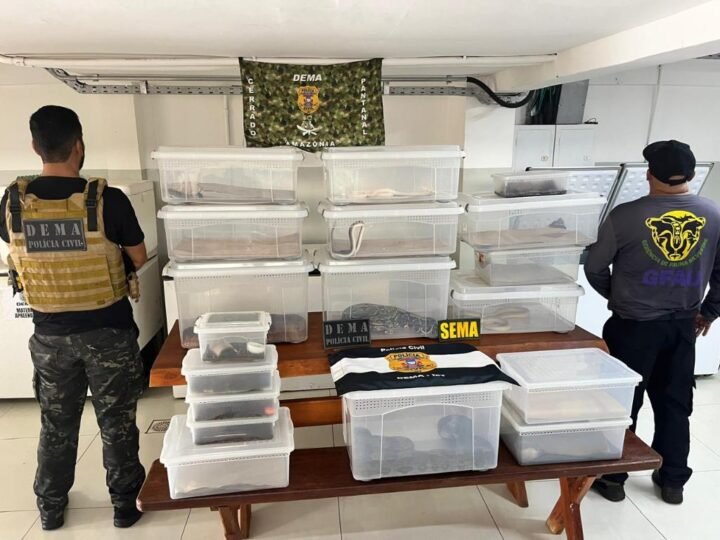 Operação flagra ‘coleção secreta’ de animais exóticos em Cuiabá; apreensão impressiona