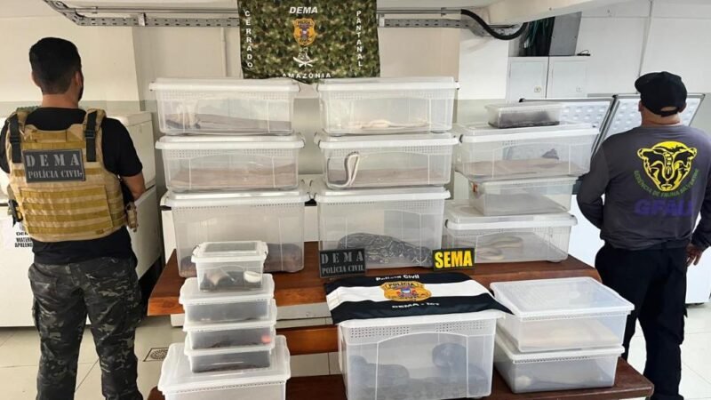 Operação flagra ‘coleção secreta’ de animais exóticos em Cuiabá; apreensão impressiona