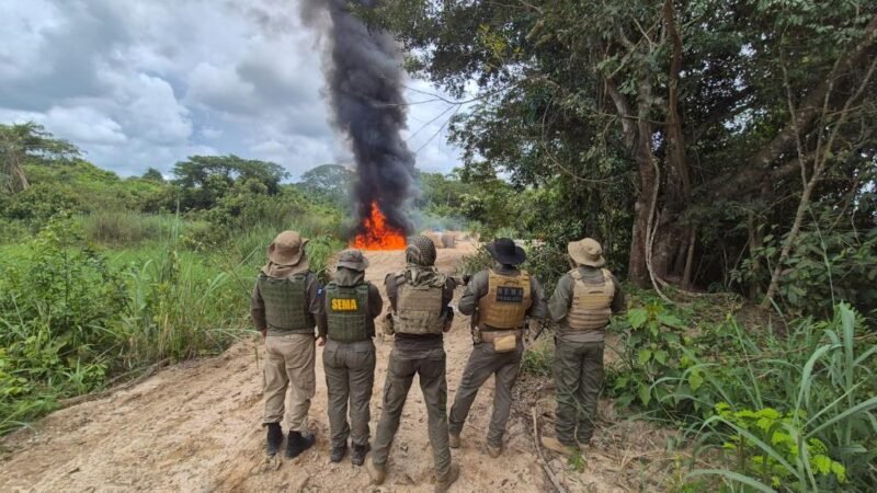 Operação Logging causa prejuízo milionário ao garimpo ilegal e desmantela estruturas no norte de MT