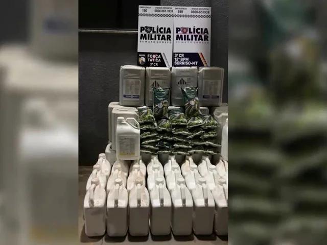 Mais de 700 litros de produtos agrícolas são apreendidos em quitinete