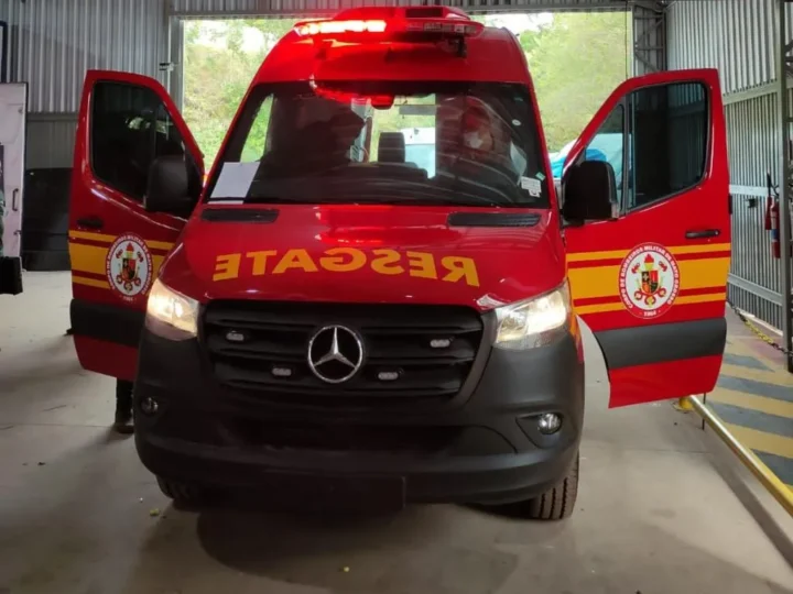 Escorpiões preocupam autoridades e casos disparam: veja como se proteger