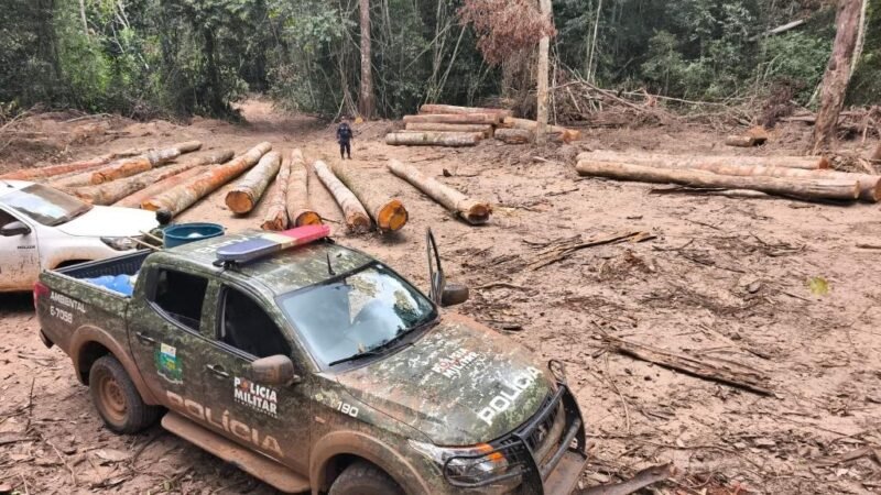 Polícia Ambiental apreende 174 m³ de madeira ilegal durante operação em Mato Grosso