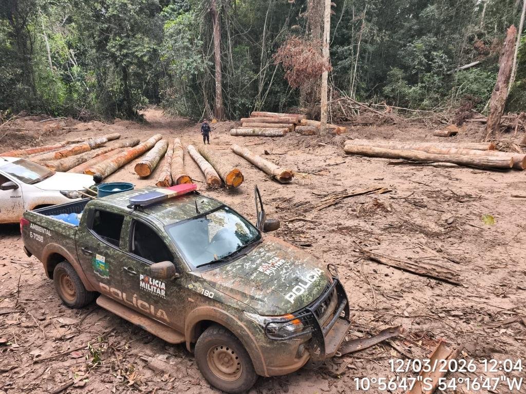 Polícia Ambiental apreende 174 m³ de madeira ilegal durante operação em Mato Grosso