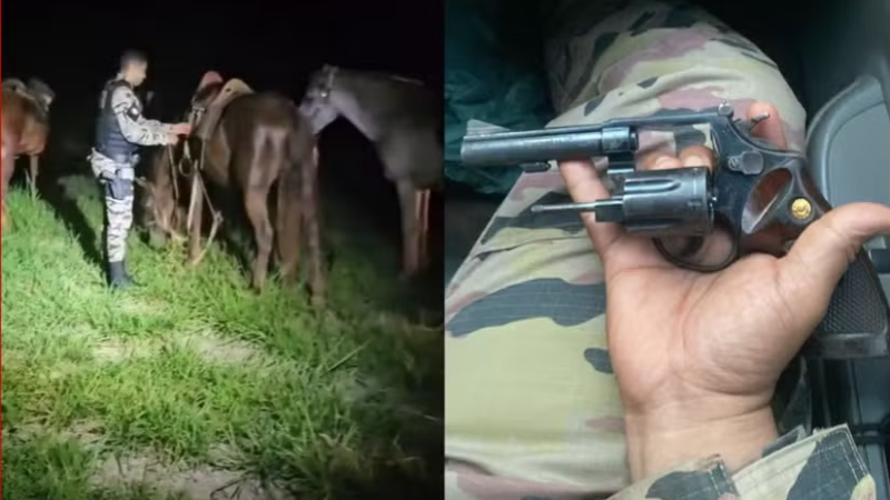 Trio com mandados de prisão é detido durante operação contra furto de gado em Rondonópolis – veja vídeo: