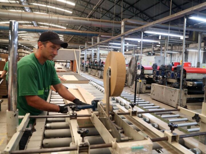 Sul inicia o ano criando mais de 55 mil empregos formais