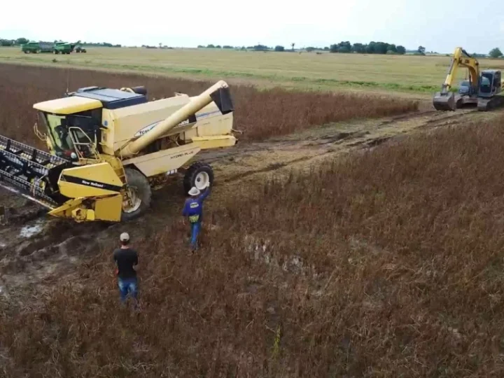 Excesso de chuvas atrasa colheita da soja e preocupa produtores no norte de MT