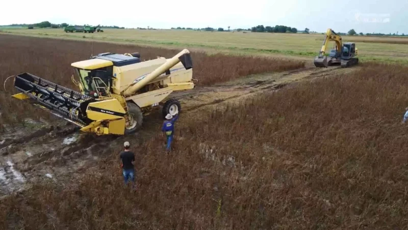 Excesso de chuvas atrasa colheita da soja e preocupa produtores no norte de MT