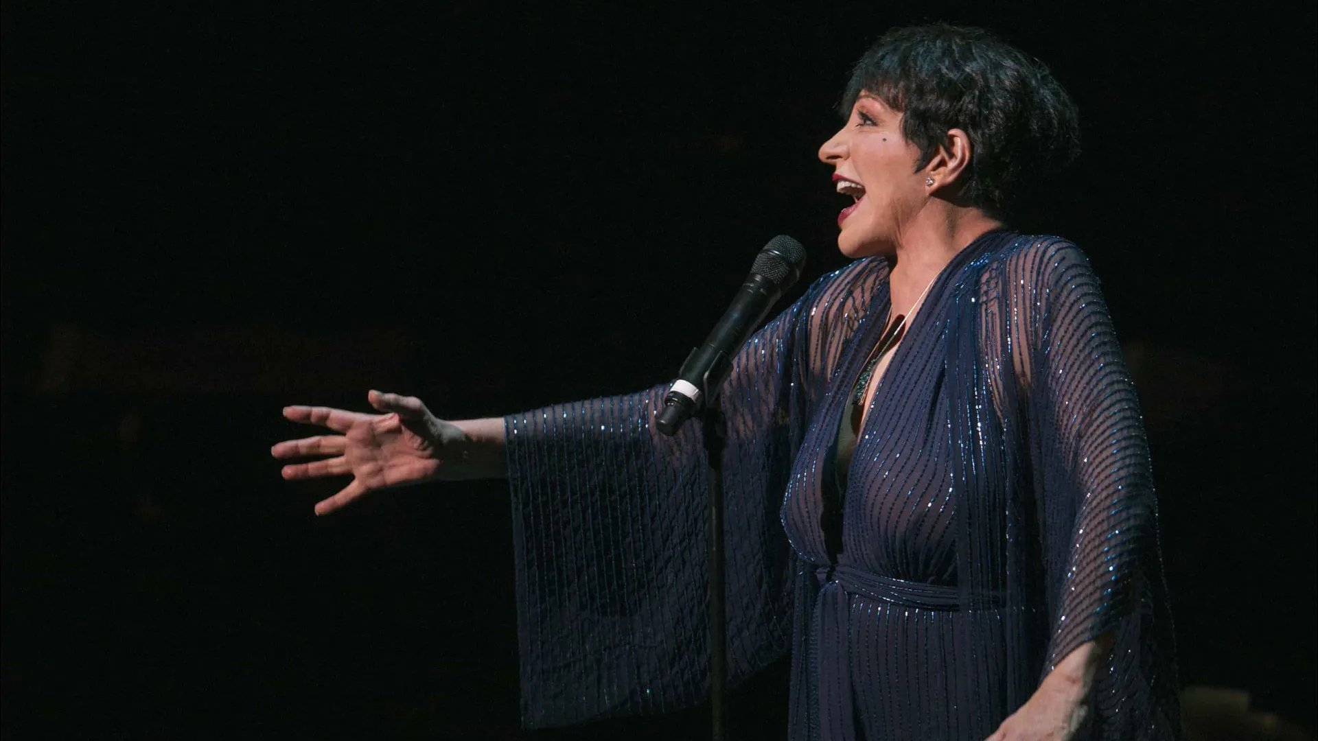 Liza Minnelli diz que flagrou primeiro marido na cama com outro homem