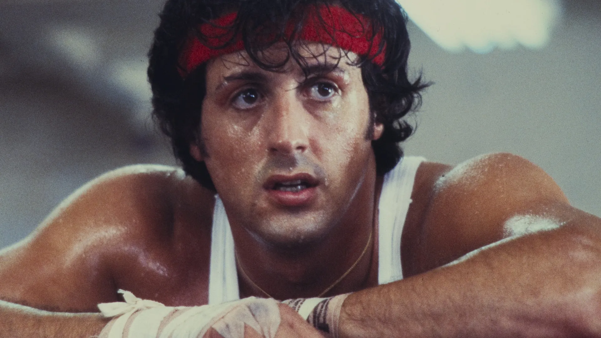 Sylvester Stallone será produtor de novo filme sobre origem de Rambo