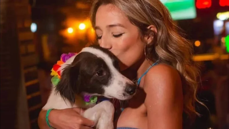 Lindolfo, cachorro de Samira, ganha prótese e estrela campanha publicitária