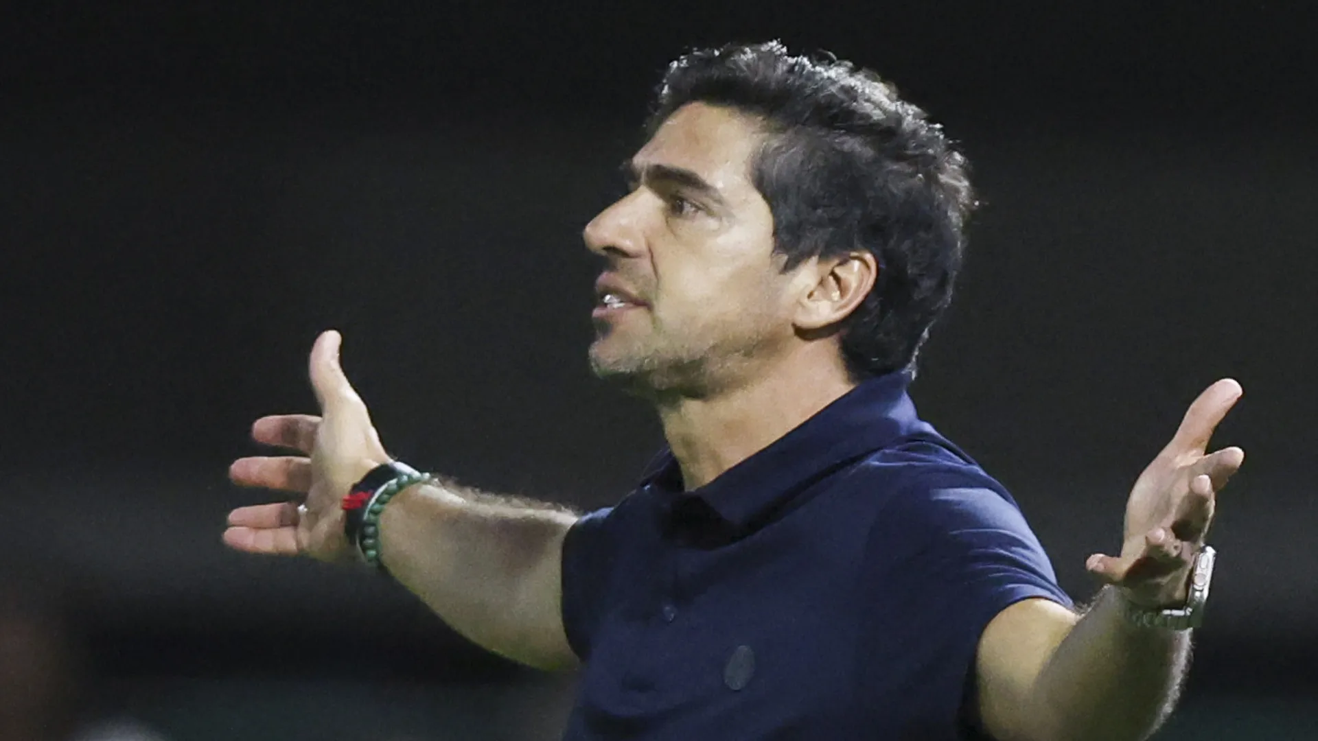 Abel Ferreira e Luís Castro vão do céu ao inferno no Brasileirão