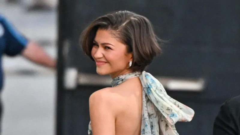 Fotos falsas de casamento de Zendaya enganam até amigos próximos