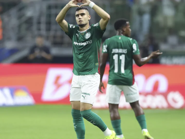 Palmeiras derrota Botafogo e assume liderança do Campeonato Brasileiro