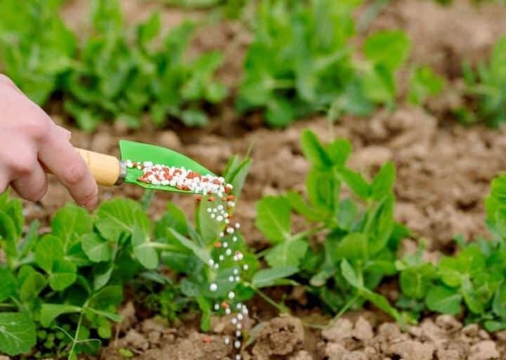 Guerra pode aumentar custos de fertilizantes comprados por sojicultores de Mato Grosso