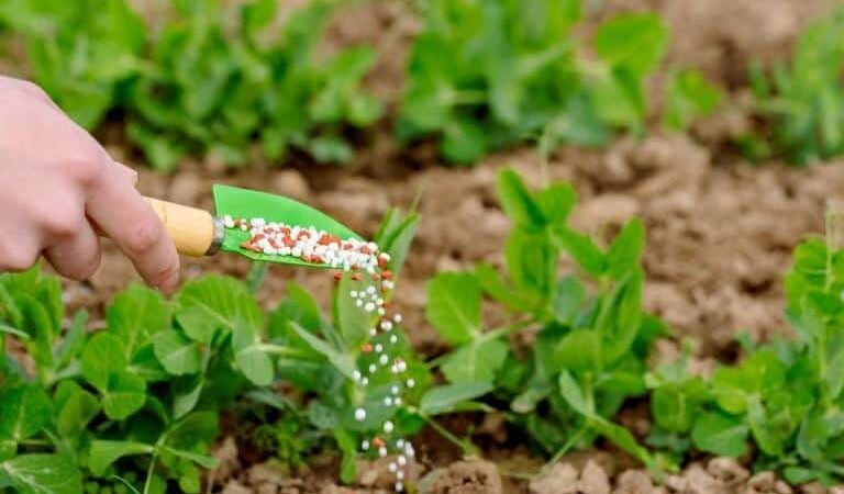 Guerra pode aumentar custos de fertilizantes comprados por sojicultores de Mato Grosso