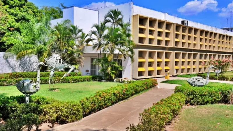 Professor aparece nu em reunião online na UFMT e se pronuncia: “Foi um acidente”