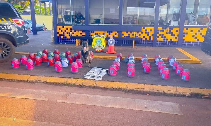 Carga com fundo falso é descoberta e revela drogas e medicamentos ilegais