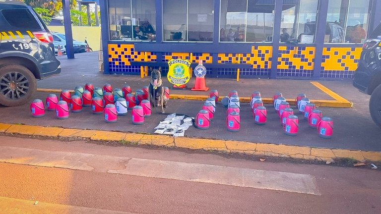 Carga com fundo falso é descoberta e revela drogas e medicamentos ilegais