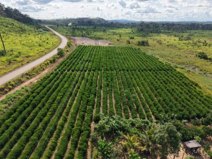 Confira a agenda: Seaf inicia mobilização do MT Produtivo em 61 municípios de Mato Grosso