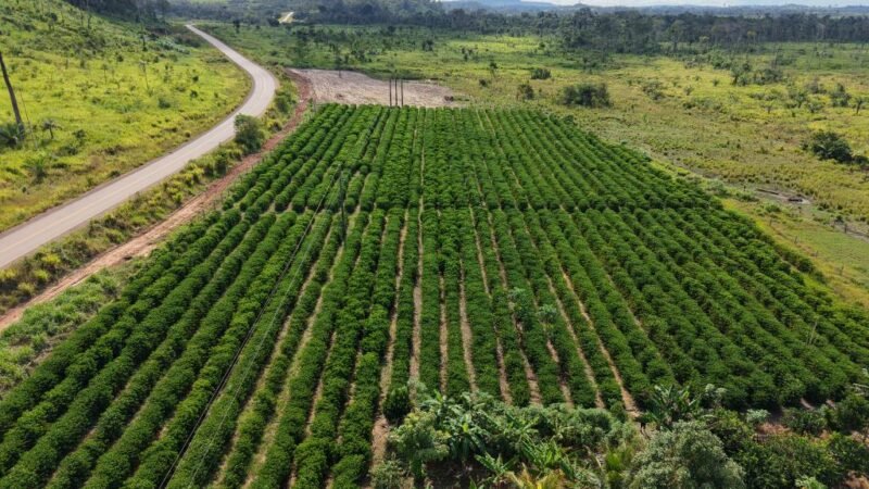 Confira a agenda: Seaf inicia mobilização do MT Produtivo em 61 municípios de Mato Grosso