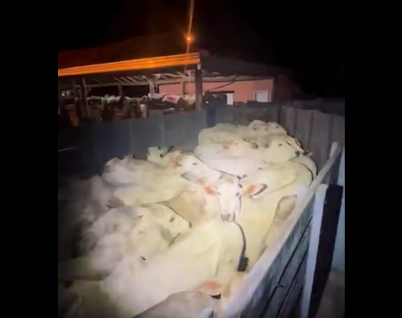 Quadrilha é flagrada com caminhão carregado e esquema de furto vem à tona