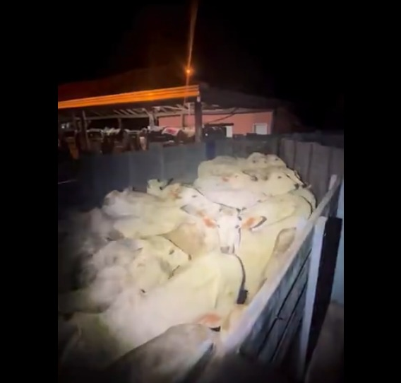 Quadrilha é flagrada com caminhão carregado e esquema de furto vem à tona