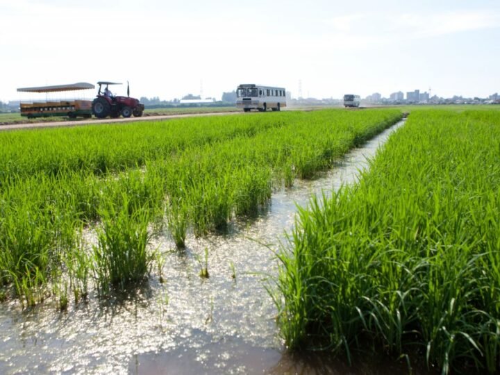 Alta do diesel deve gerar custo adicional de R$ 612 milhões nas lavouras gaúchas