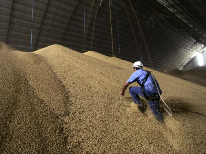 Estimativa da produção agrícola de março de 2026 é recorde da série histórica