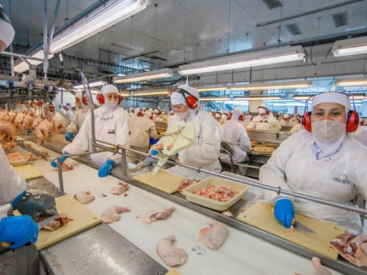 Cooperativas catarinenses faturam R$ 105,7 bilhões