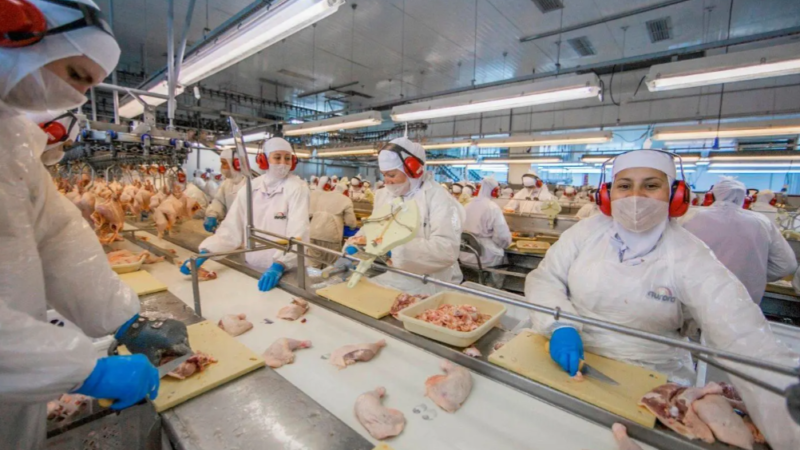 Cooperativas catarinenses faturam R$ 105,7 bilhões