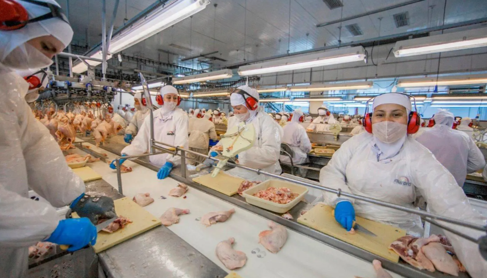 Cooperativas catarinenses faturam R$ 105,7 bilhões