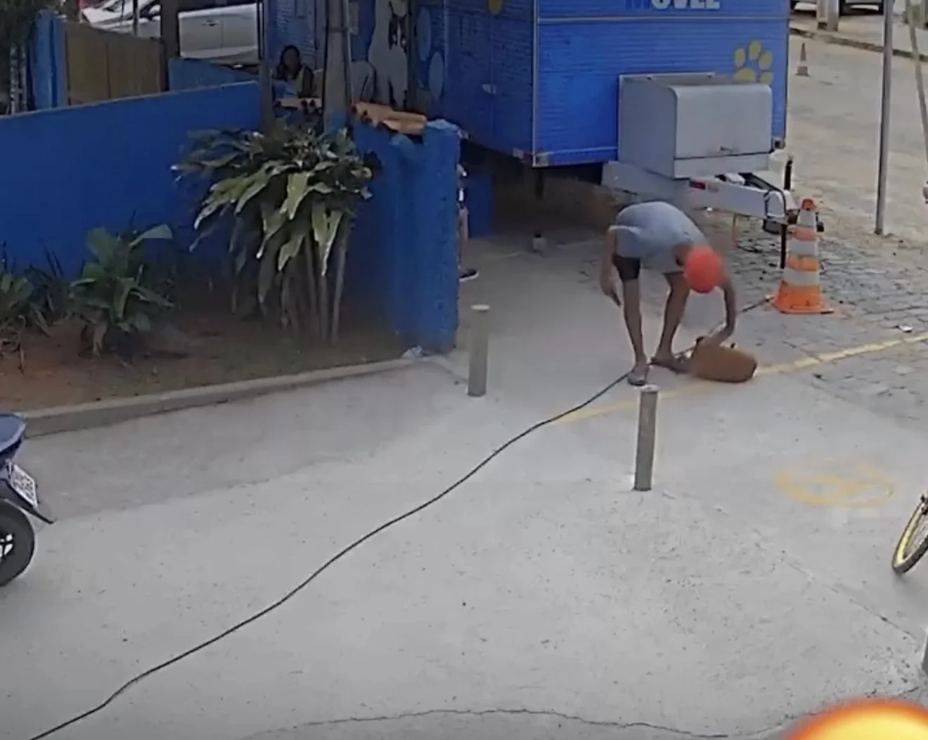 ATENÇÃO IMAGENS FORTES: Homem agride violentamente cachorro em praça pública e vídeo gera revolta. VEJA