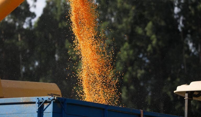 BRDE operacionaliza o Coopera Agro SC