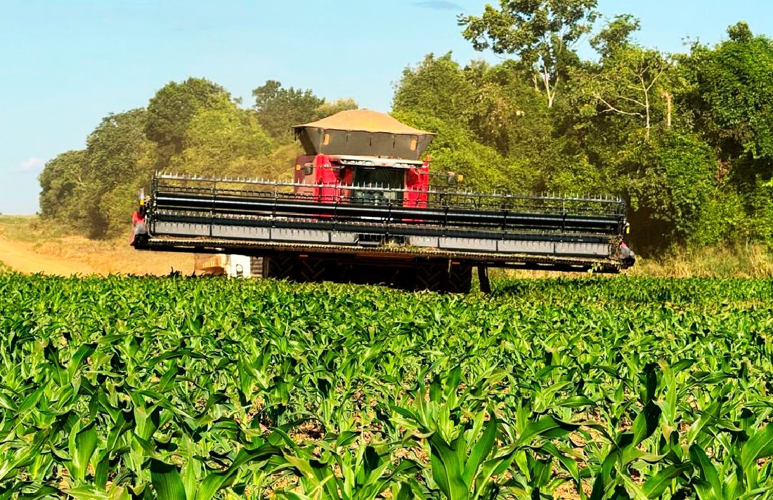 Soja é responsável por 44% do valor da produção do agro em Mato Grosso