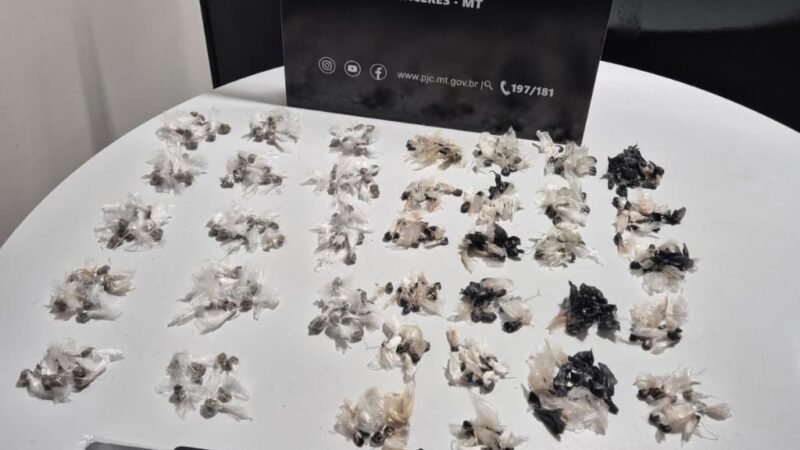 Facção comandava crimes de dentro de presídio em MT — operação corta comunicação e apreende drogas e celulares