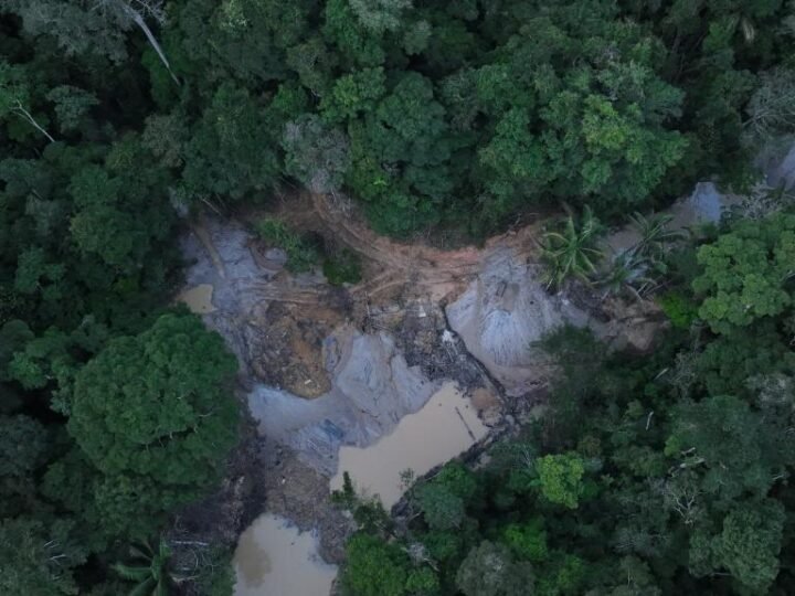 Operação ambiental flagra exploração ilegal e aplica multa de R$ 200 mil em MT