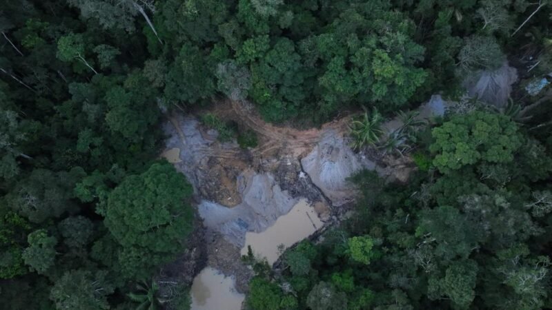 Operação ambiental flagra exploração ilegal e aplica multa de R$ 200 mil em MT