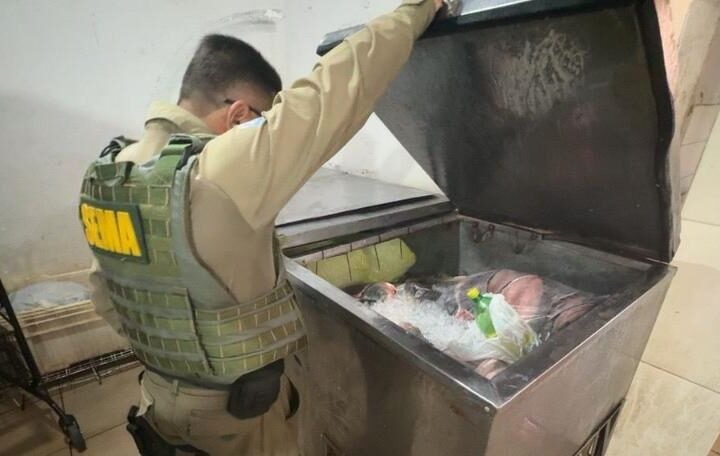 Operação ambiental apreende equipamentos ilegais e devolve peixes à natureza em MT