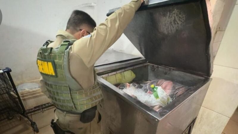 Operação ambiental apreende equipamentos ilegais e devolve peixes à natureza em MT