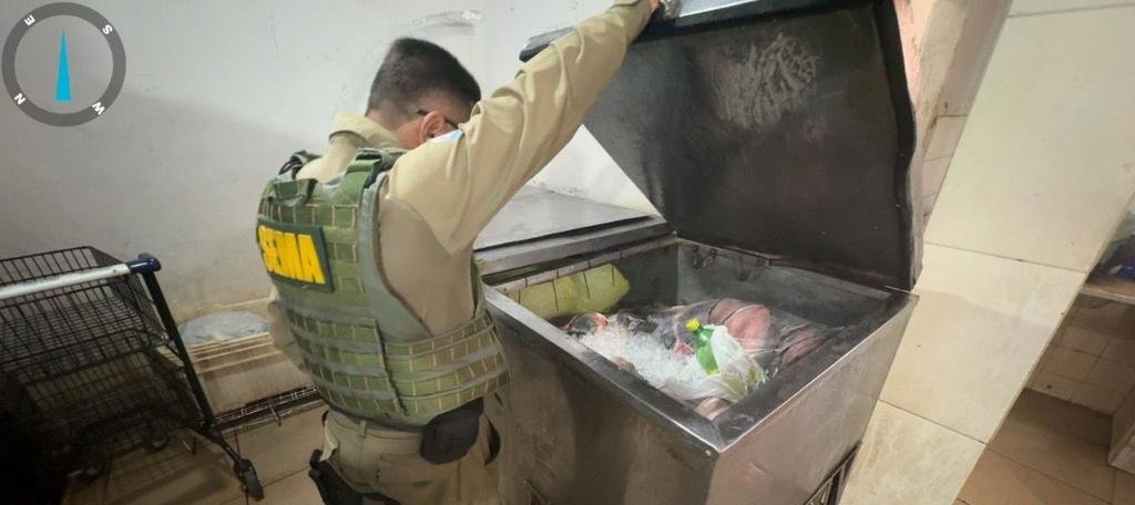 Operação ambiental apreende equipamentos ilegais e devolve peixes à natureza em MT